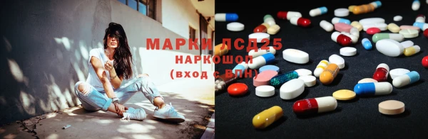 apvp Богородицк