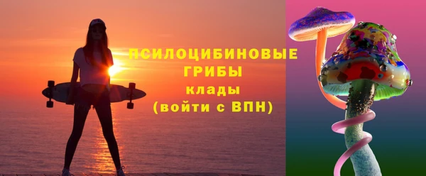СК Бронницы