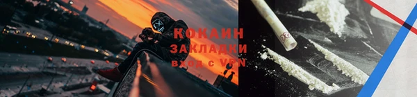 ПСИЛОЦИБИНОВЫЕ ГРИБЫ Бородино